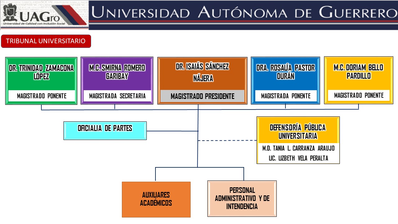 ORGANIGRAMA TU